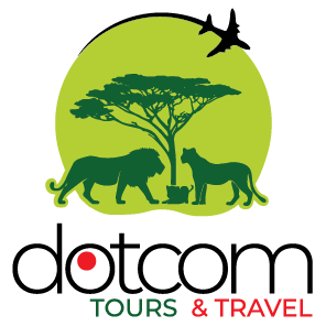 Dotcom Tours