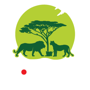 Dotcom Tours